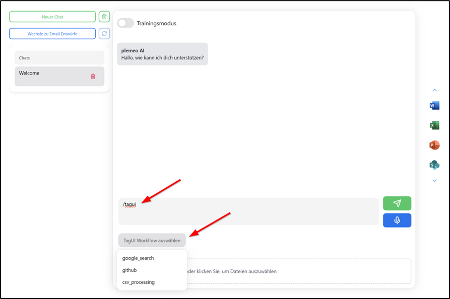 TagUI Chat Execution